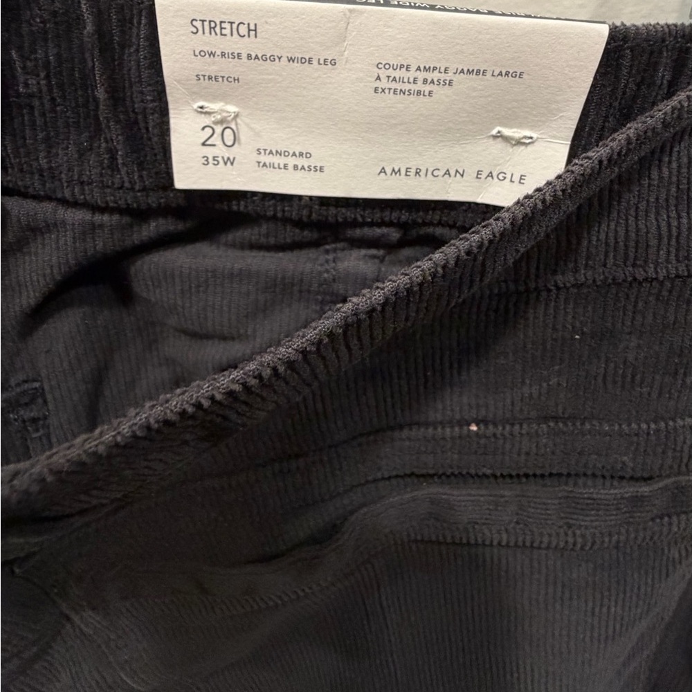 American Eagle 🦅 Outfitters Stretch Corduroy Low Rise Baggy Wide Leg Pants - Picture 5 of 5